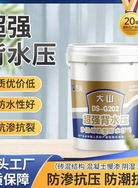 背水面防水材料内墙漏水反碱型背水压抗渗防水涂料地下室潮湿治水