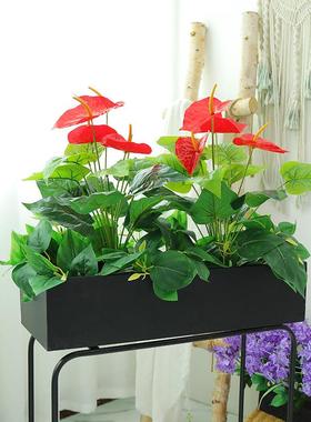 盆栽绿植假花塑料造景仿真花植物落地造景花箱花槽装饰仿真红掌