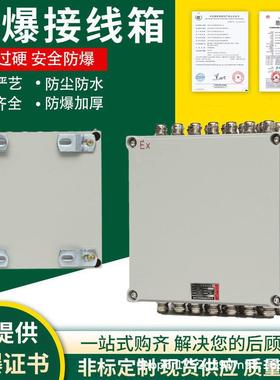 防爆接线箱照明动力开关控制箱仪表电控柜按钮配电检修防爆箱出口