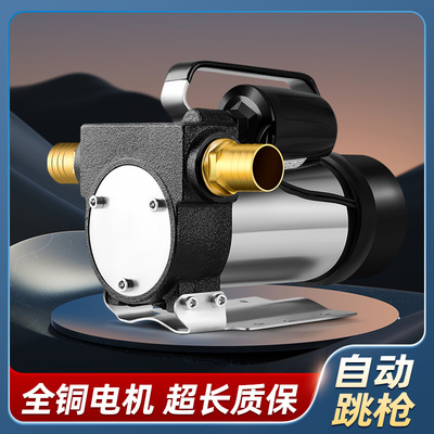 荣本正反转电动抽油泵12v 24v 220v自动启停柴油泵自吸泵加油神器