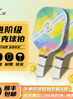 ZDLE进阶级匹克球球拍玻纤Pickleball成人超轻耐打学生运动训练拍