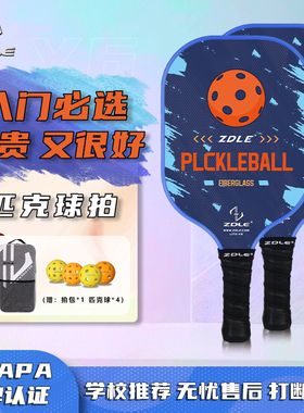 ZDLE入门级匹克球球拍玻纤Pickleball男女生超轻运动学生初学套装