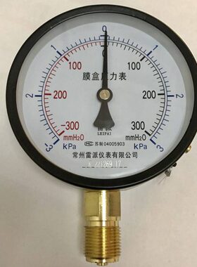 +-3kpa +-300mmh2o 膜盒压力表 YZE-100 直径100mm 螺纹m20x1.5