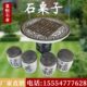 石桌石凳庭院花园石桌茶台家用仿古别墅户外休闲石桌子石凳子摆件