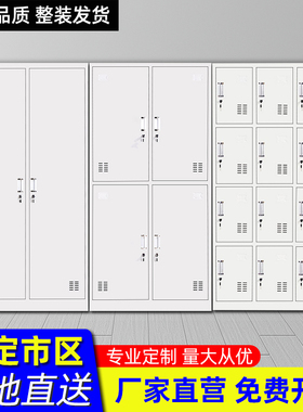 保定钢制员工铁皮柜更衣柜工厂职员宿舍换衣柜带锁多门收纳柜鞋柜