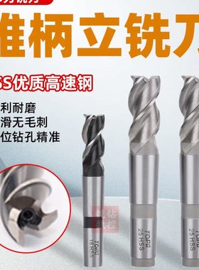 莫式锥柄三刃立铣刀 HSS锥立铣 锥柄高速钢铣刀20 25 30 40 50mm
