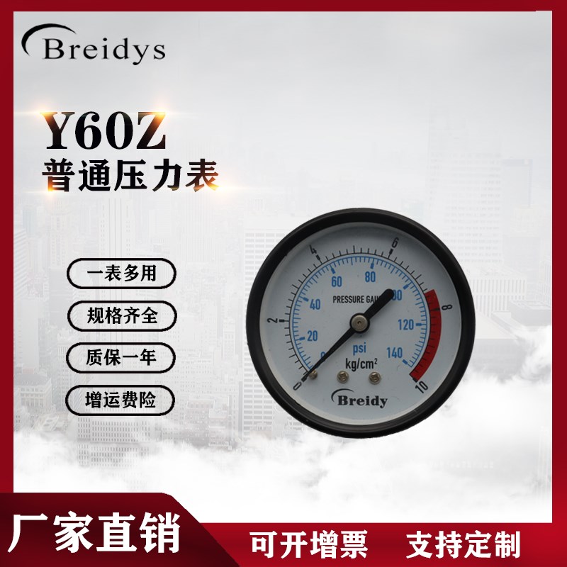 Y60Z压力表轴向压力表气压表水压表0-1.6mpa检测机压力表2分牙1/4