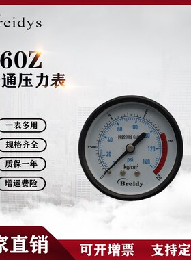 Y60Z压力表轴向压力表气压表水压表0-1.6mpa检测机压力表2分牙1/4