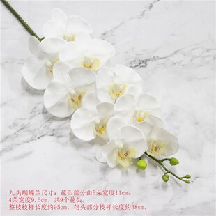 九头仿真pu蝴蝶兰单支兰花过胶手感假花蝴蝶兰家具单只/束落地花