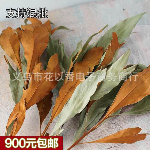 【双色银桦叶】进口干叶材干花束瓶插客厅装饰绿色黄色高级感插花 - 封面