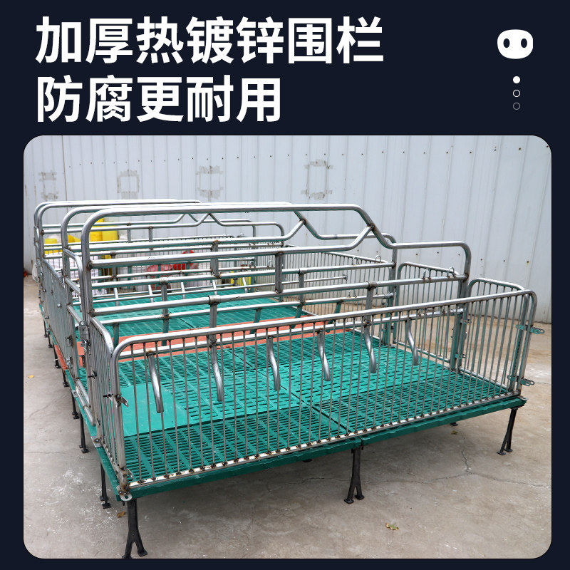 养猪设备加宽加厚母猪产床母猪产保两用产床落地式产床养猪设备