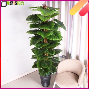 仿真绿植假树绿萝客厅室内仿真植物落地装 饰盆景盆栽滴水观音摆件