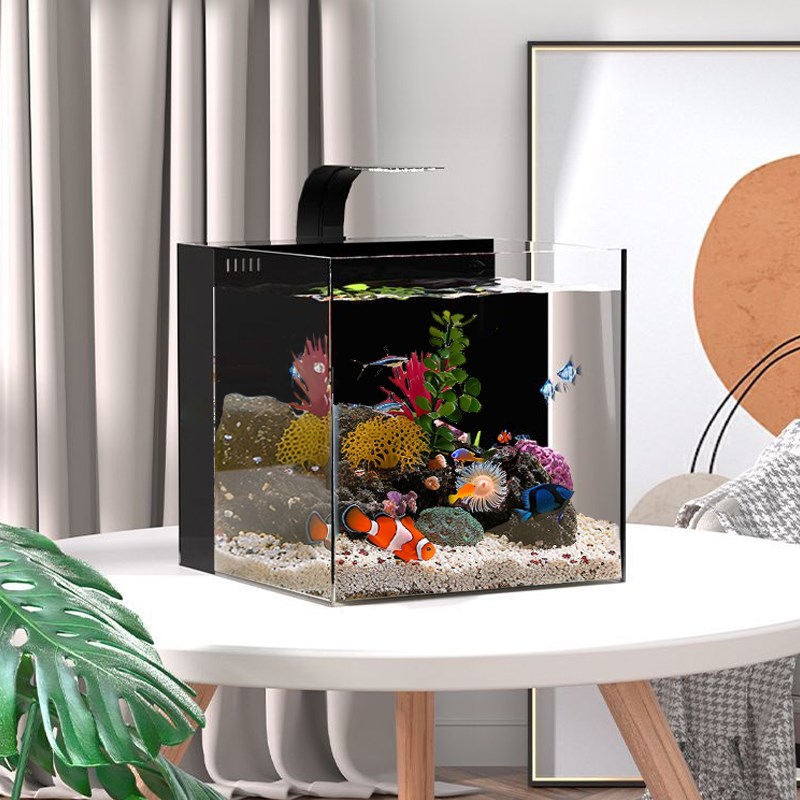 背部循环过滤静音海水缸卧室客z厅家用海水缸免换水海水鱼缸小丑