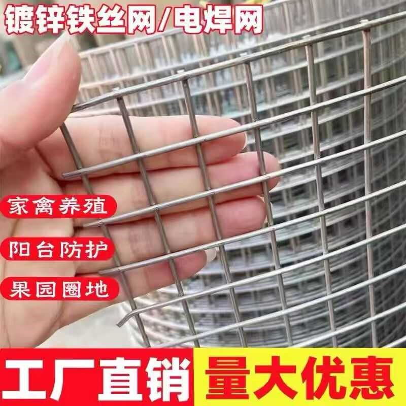 镀锌铁丝网拦鸡养殖网鸽鸟兔笼小孔防鼠I果园菜园防护网防锈钢丝