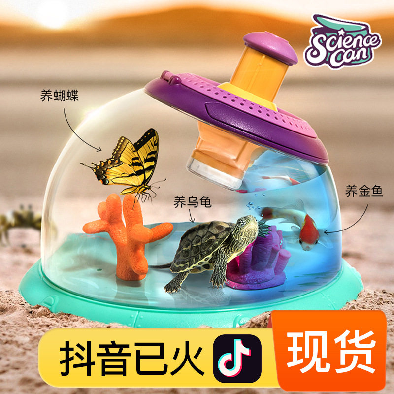 儿童昆虫生长观察显微镜幼儿园科学F区域活动角益智玩具发现室探