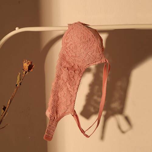 圈内衣女色夏小文胸薄夏季薄款蕾VAI丝套装钢聚拢胸白胸罩