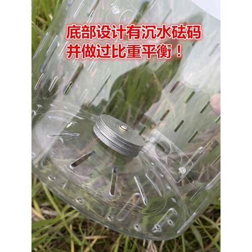 撒透明活饵打窝笼带沉配重泥鳅笼筏钓饵器虾笼筏窝钓自HFL专用新