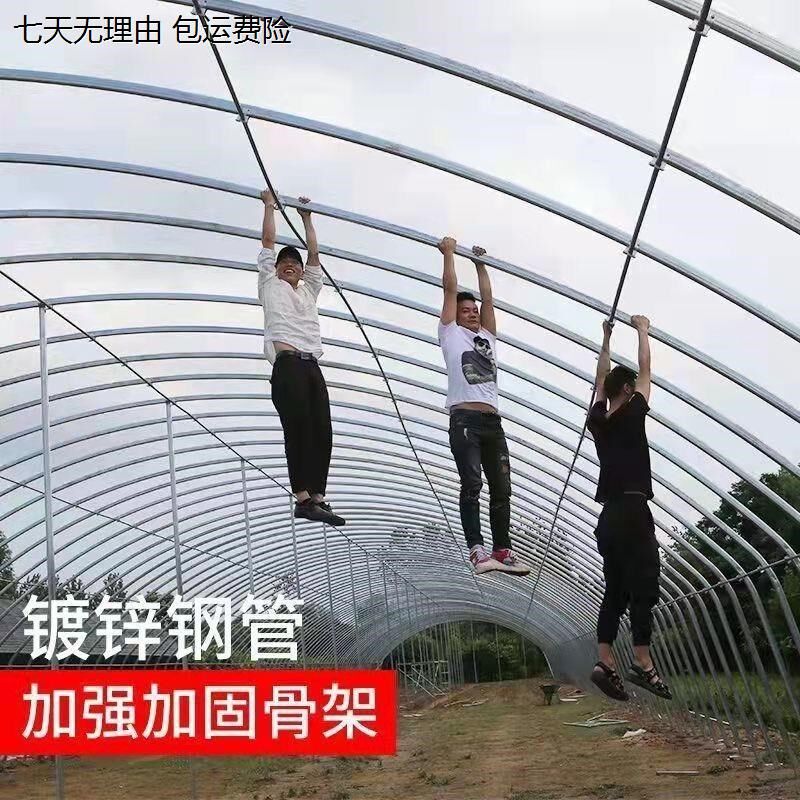 超强椭圆管蔬菜大棚支架定制养殖保温棚保固保温源头直供