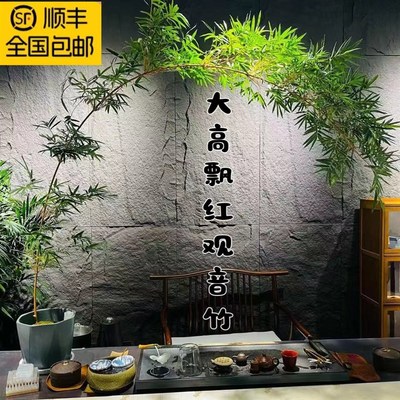 大型红观音竹四季高杆飘枝好养庭院室内茶室桌面水培造景绿植盆栽