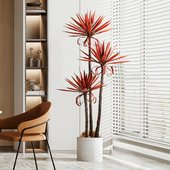 侘寂风仿真绿植丝兰树室内落地装 饰龙舌兰假植物盆栽客厅家居摆件