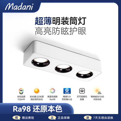 麦丹妮 简超全光谱明装客厅灯斗胆防眩智能调光