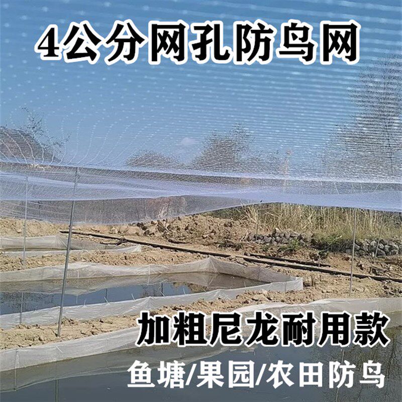 公分鱼塘防鸟网养殖网农田防鸟网青蛙泥鳅锦鲤养殖天网防鸟天网