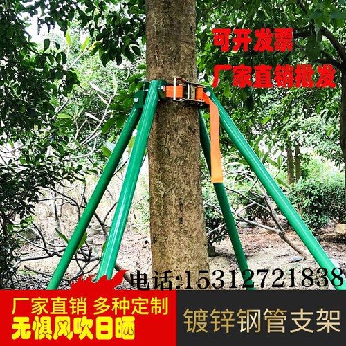 镀锌钢管树木支撑架金属铁抱箍固定器园林绿化防风大树撑杆
