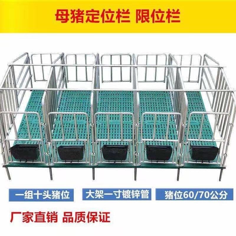 母猪定位栏落地式限位栏带漏粪板定位栏加厚猪用母猪位