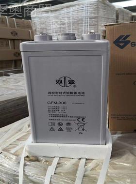 双登GFM300酸免-维护U蓄电池PS机房电源应急照明直流屏KNF2V300铅