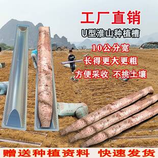 10公分宽加厚淮山U型种植槽横向生长引导槽PVC种植槽循环使用浅生