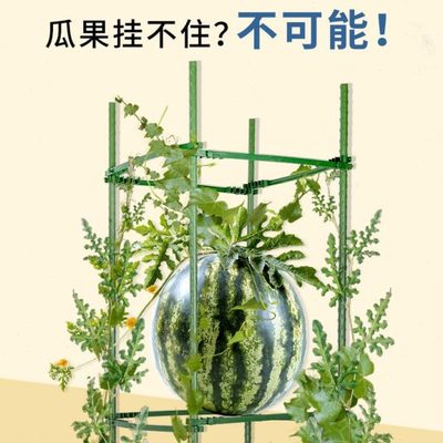 支撑杆架子拼接西瓜豆架子角黄瓜三角架番茄花植物爬藤架支架阳台