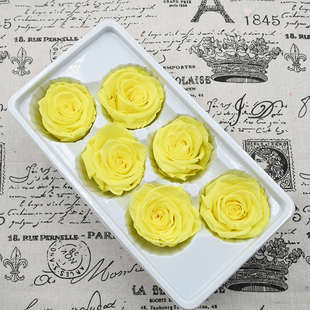 永生级玻璃罩玫瑰花干花花-花材z料diy花不会真枯萎的b相框幻65