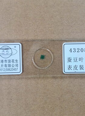 43208蚕豆叶下表皮装片 生物显微镜玻片涂片 浪花牌切片教学仪器