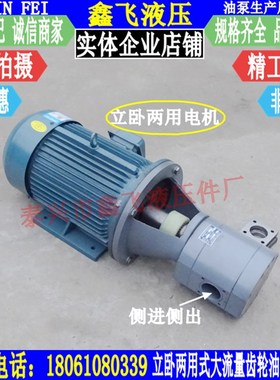 LWBZ-CB-B300 DCB B350JZ立卧式齿轮油泵电机组 液压油泵装置