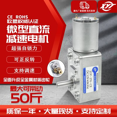 JGY370微型直流减速电机自锁齿轮涡轮蜗杆大扭矩低速小马达24v12v