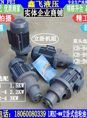 LWBZ-CB-B40 B50 B63JZ立卧式齿轮油泵电机组 液压油泵装置