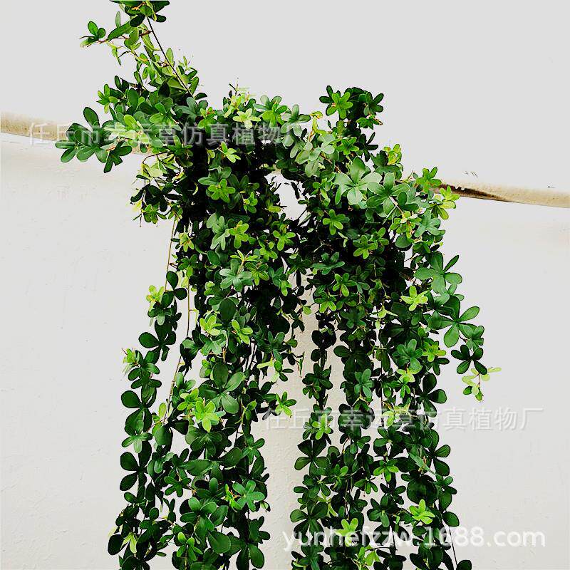 仿真大壁挂 加密叶子 垂吊花装饰 花蓝墙面 吊顶花 婚庆装饰布置