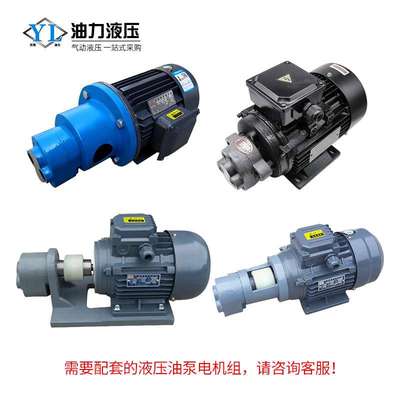 正反向电动油泵齿轮CB-B6RB10B16B32B63机床润滑输油泵液压齿轮泵