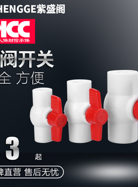 塑料水管阀门 PPR内丝全塑球阀 PPR内牙阀门水阀开关 4分6分接头
