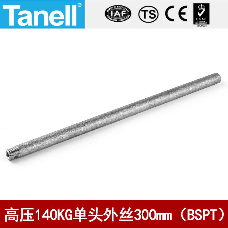 单头管外丝BSPT300长140KG高压管件Sch80焊接304316天佑管业11683