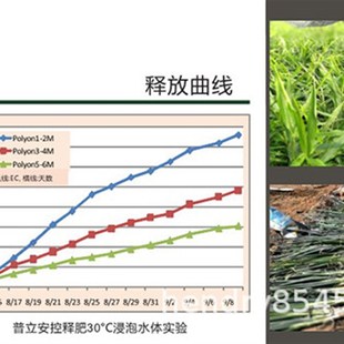 美国普立安缓释肥料16-6-12长效控释肥氮肥观叶植物追肥25公斤装