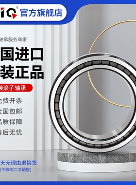 德国进口EIQ圆柱滚子轴承SL 024934 024936 0K24938 024940-A-C3