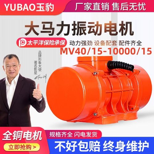 MV40/15-10000/15工业振动电机380v三相异步震动电机下料仓振动器