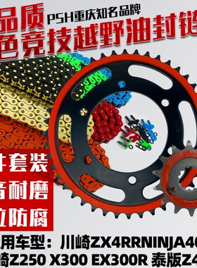 适用川崎忍者Ninja400/EX300R/Z250泰版Z400大齿盘炼盘油封炼条套