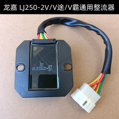 龙嘉 LJ250-2V 稳压器 整流器 充电器【V咖 V途 V霸通用】原厂