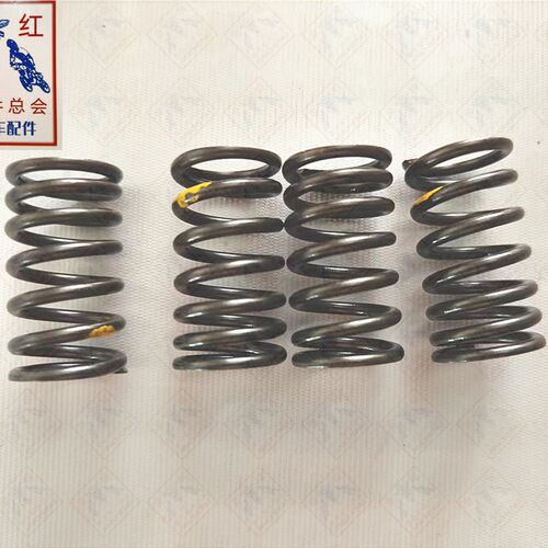 适用金城JC200T圣甲虫/草蜢/意塔杰特气门弹簧[单只]