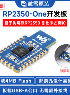 微雪RP23504MBFlashType-A口