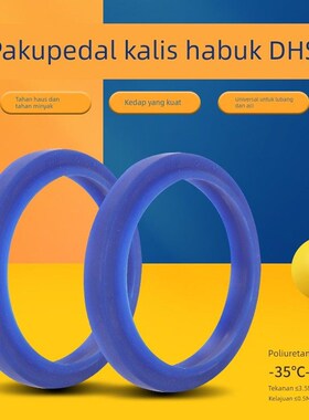 DZ液压防尘DHS22x28x3.5/4.5防尘密封圈22*31*3.7/7.6聚氨酯油封