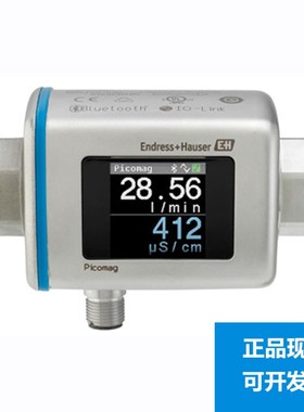 E+H 电磁流量计DMA15-AAAAA1 DN15恩德斯豪斯Endress+Hauser现货