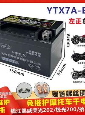 适用钱江凯威荣光太子202/极光200/拾光250摩托车电瓶12V7A干电池
